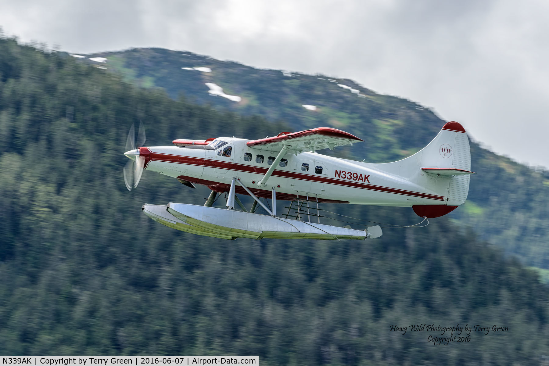 N339AK, 1965 De Havilland Canada DHC-3 Otter C/N 454, Port of Juneau Alaska