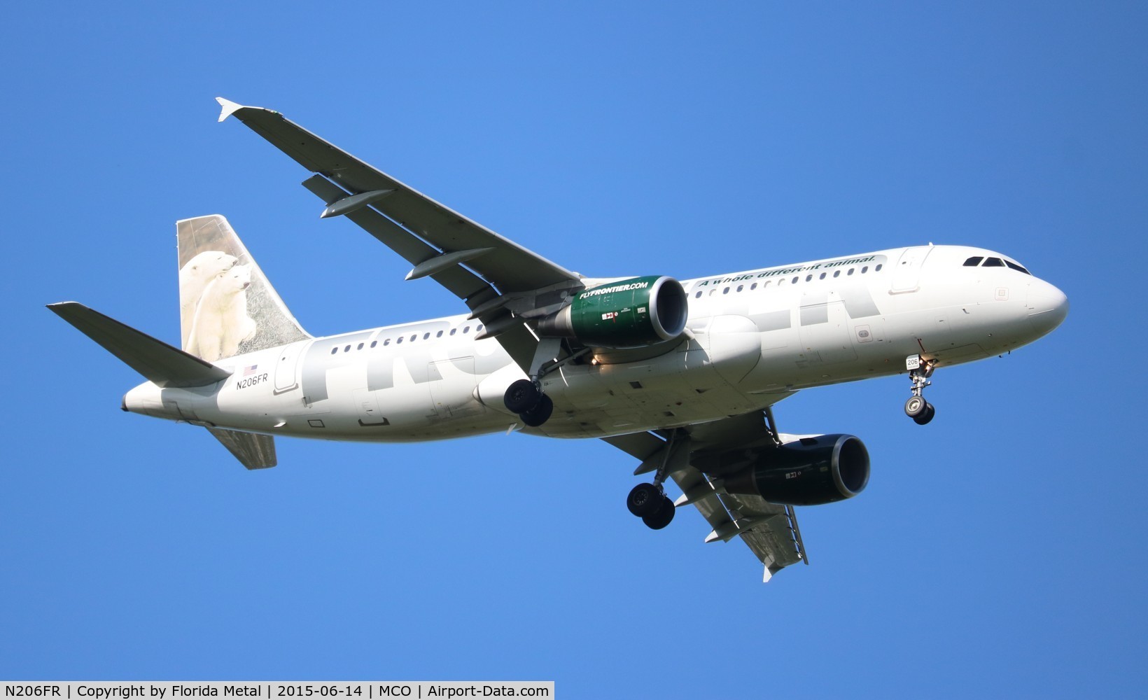 N206FR, 2010 Airbus A320-214 C/N 4272, Alberta and Clipper polar bear cubs