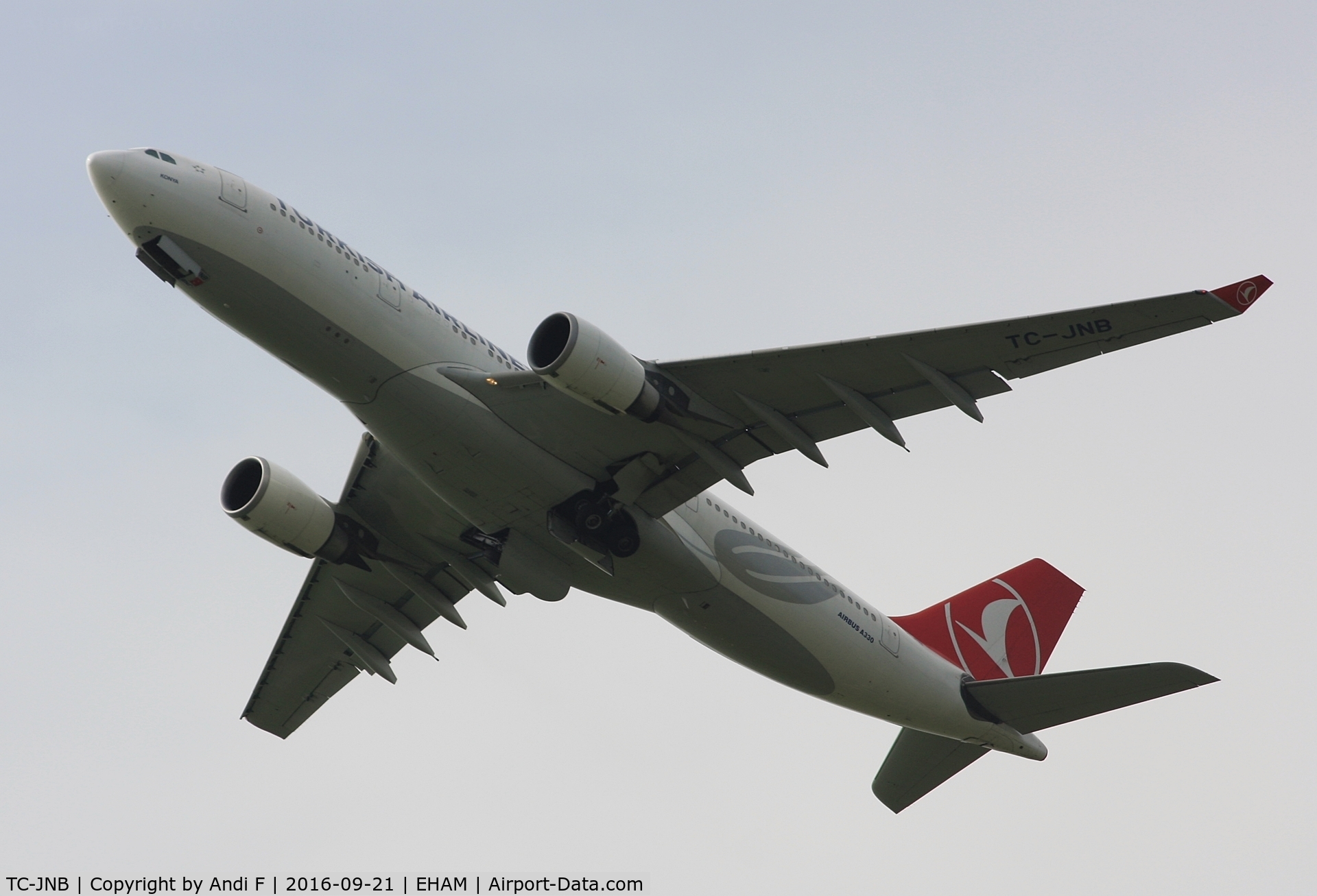 TC-JNB, 2005 Airbus A330-204 C/N 704, Turkish Airlines Airbus A330-203