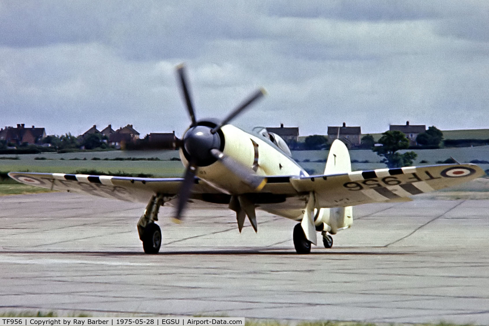 TF956, Hawker Sea Fury FB.11 C/N Not found TF956, Hawker Sea Fury FB.11 [TF956] (Royal Navy) Duxford~G 28/05/1975. From a slide.