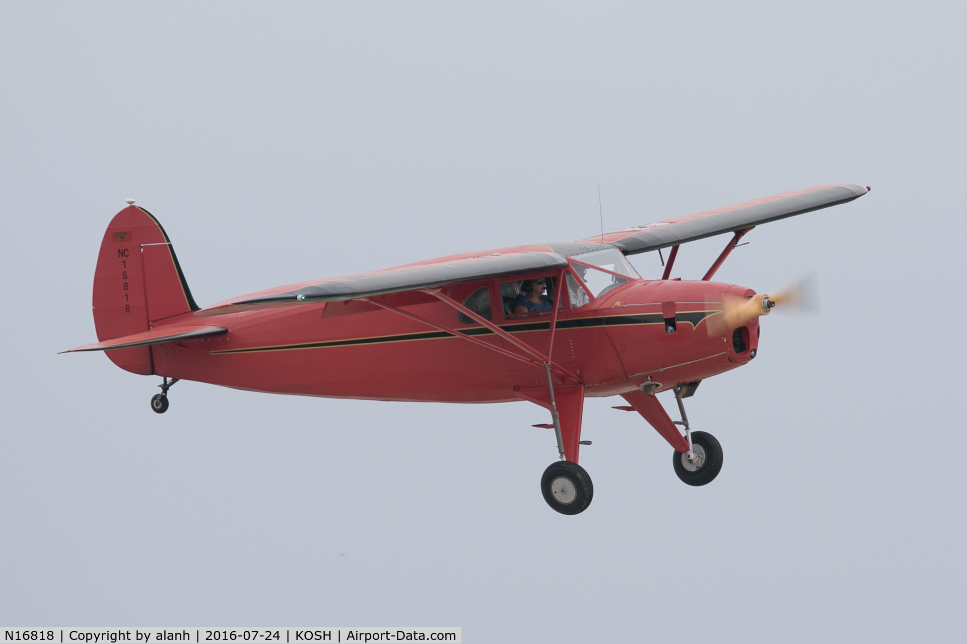 N16818, 1936 Fairchild 24 C8F C/N 3119, Arriving at AirVenture 2016