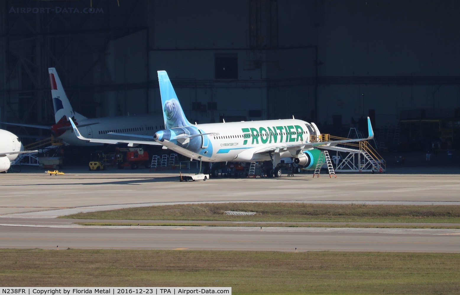 N238FR, 2016 Airbus A320-214 C/N 7458, Hugh the Manatee just delivered the day before this pic was taken.  Aircraft not in service yet at time of this posting, getting prepped at Tampa