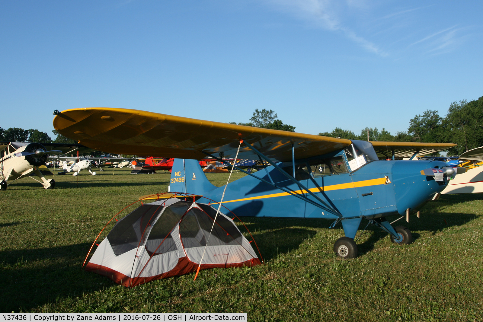 N37436, 1942 Interstate S-1A Cadet C/N 281, At the 2016 EAA AirVenture - Oshkosh, Wisconsin