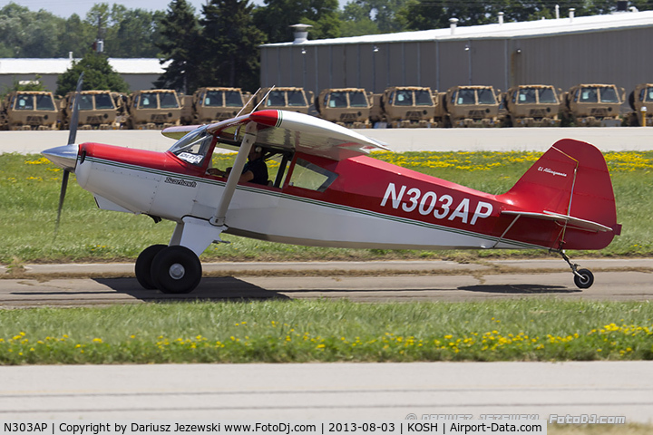 N303AP, 2003 Avipro Bearhawk C/N 02-01/02-444, Bearhawk  C/N 02-01/02-444, N303AP