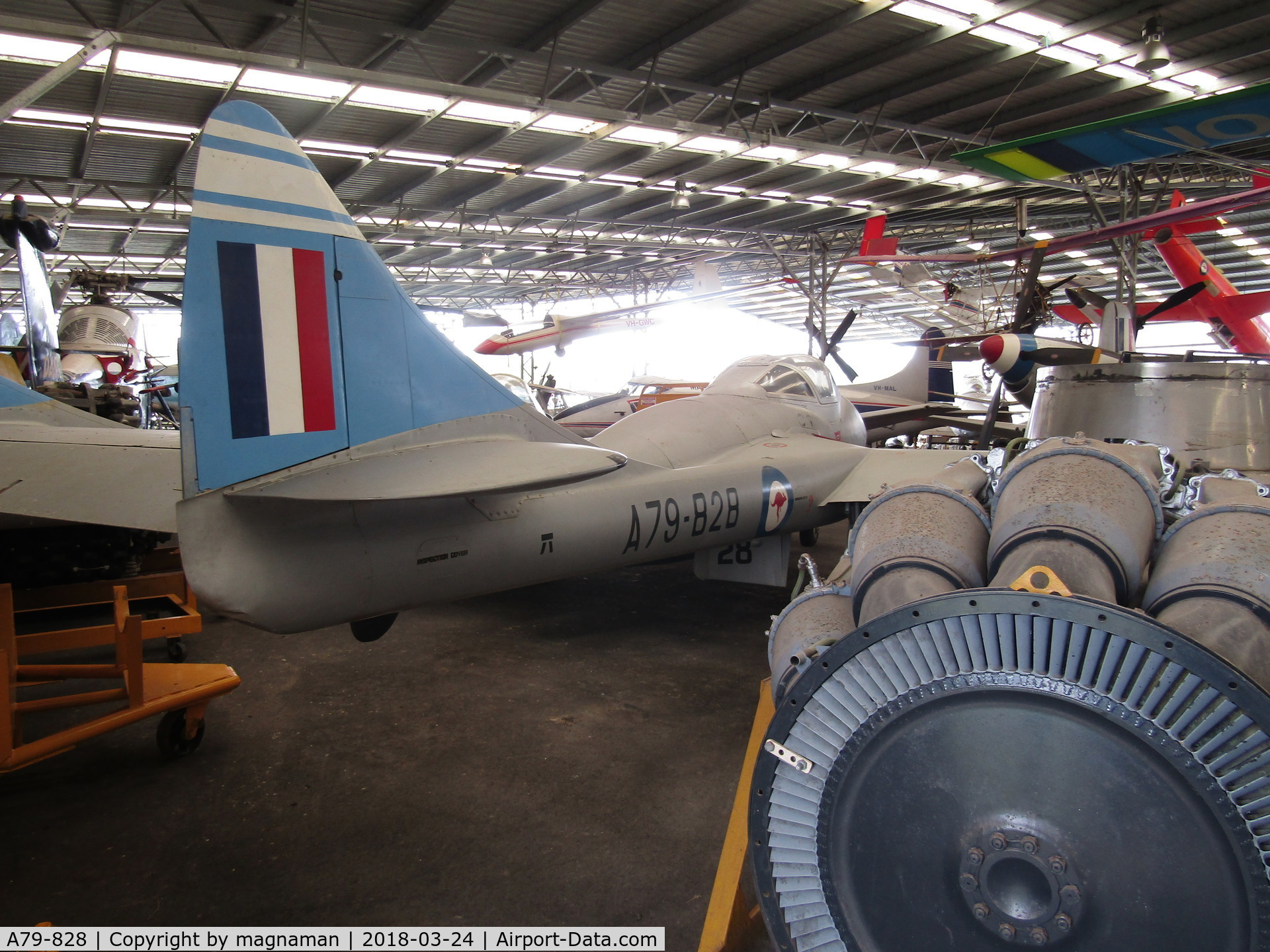 A79-828, De Havilland Australia DH-115 Vampire T.35A C/N DHA4113, Crowded hangar at Caloundra Museum