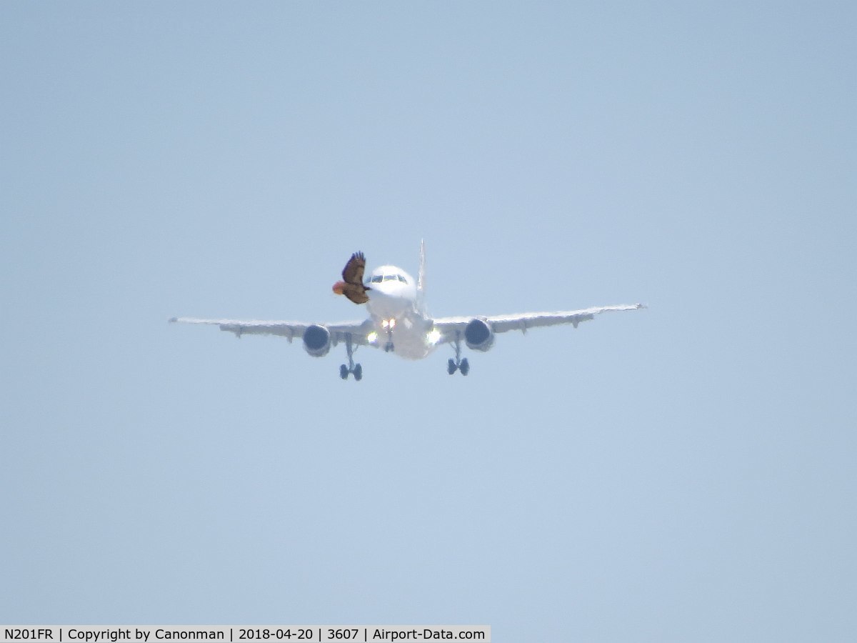 N201FR, 2008 Airbus A320-214 C/N 3389, Appears bird cut the airplane off