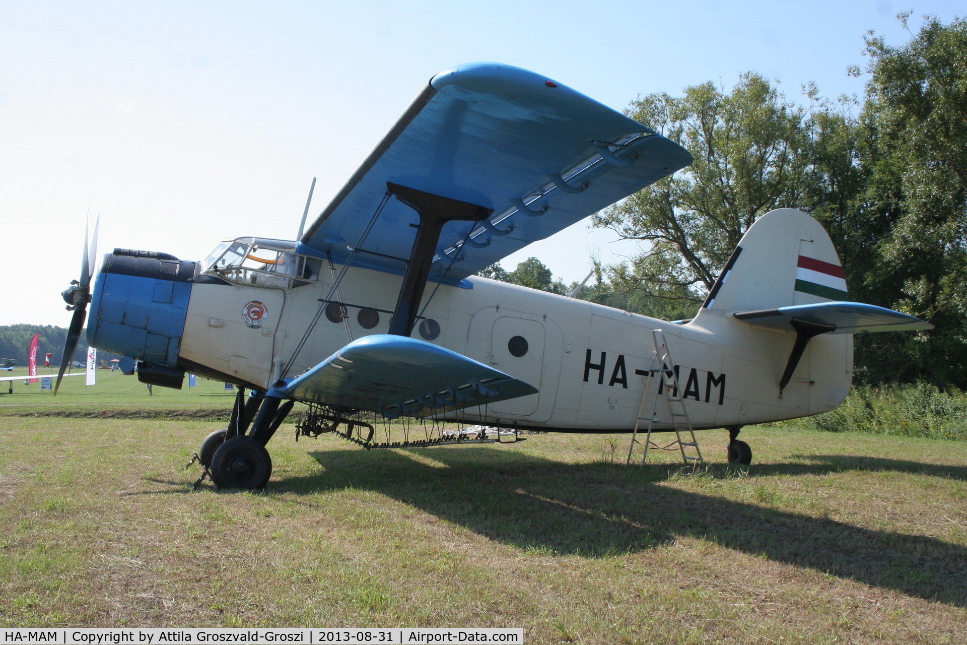 HA-MAM, 1984 PZL-Mielec An-2R C/N 1G208-44, II. Cirrus-Hertelendy Aviator's Weekend , Hertelendy Castle Airfield Hungary