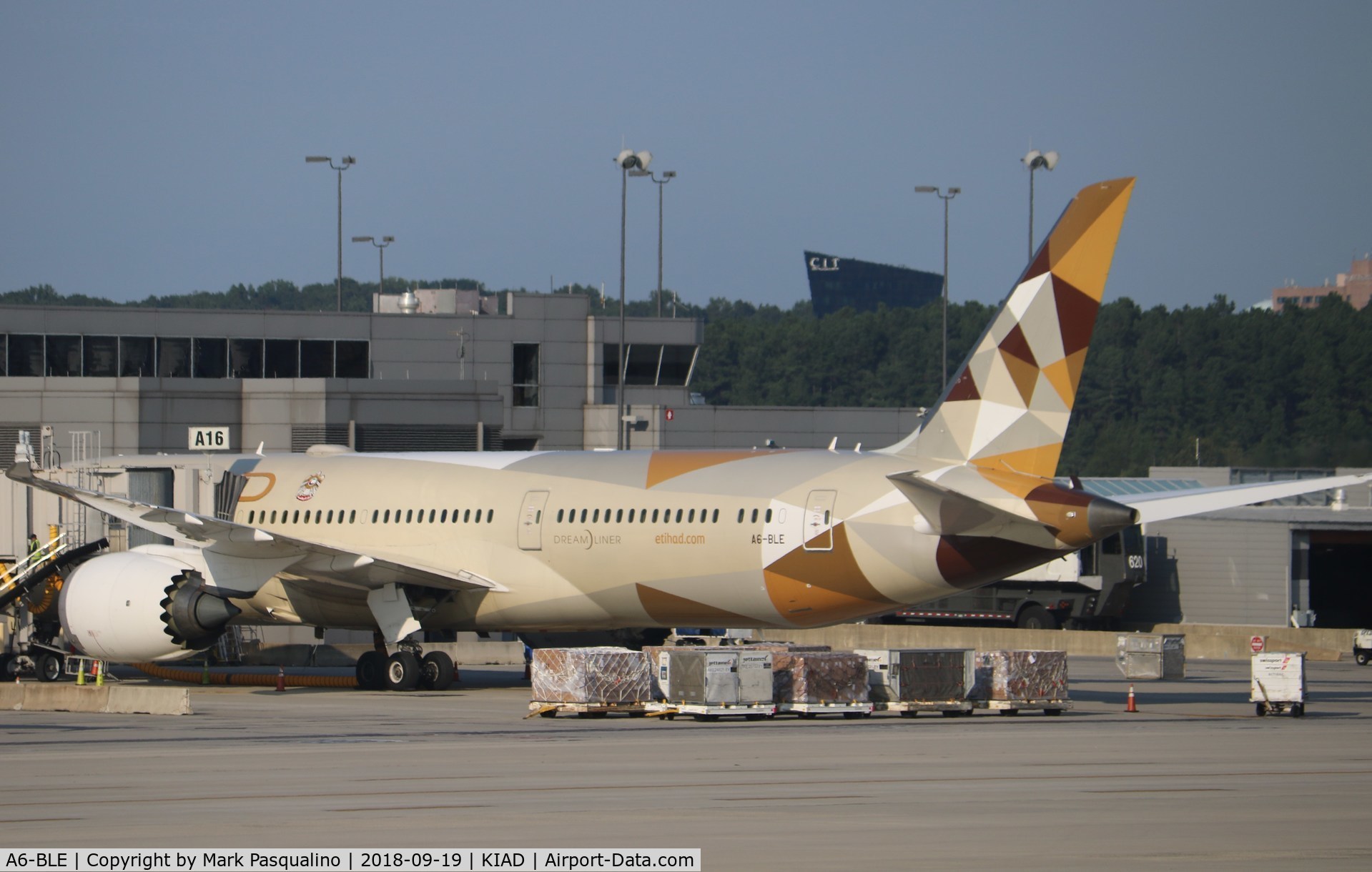 A6-BLE, 2015 Boeing 787-9 Dreamliner C/N 39650, Boeing 787-9