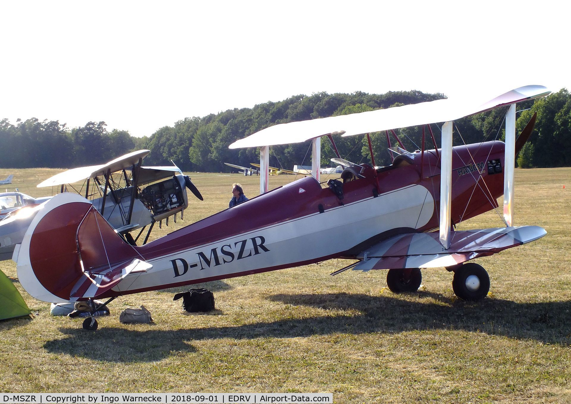 D-MSZR, Platzer Kiebitz C/N 291, Platzer Kiebitz at the 2018 Flugplatzfest Wershofen