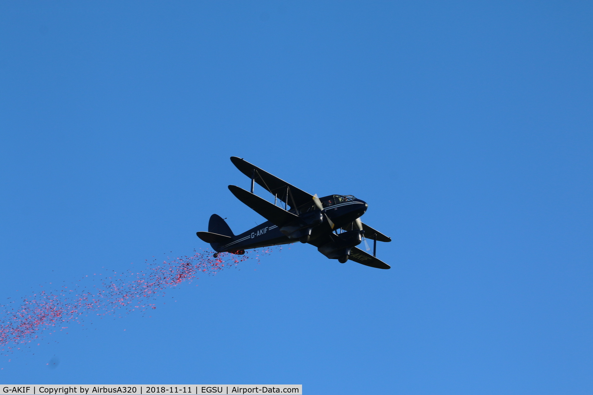 G-AKIF, 1944 De Havilland DH-89A Dominie/Dragon Rapide C/N 6838, Performing a fly past dropping Poppies during remembrance sunday at Duxford