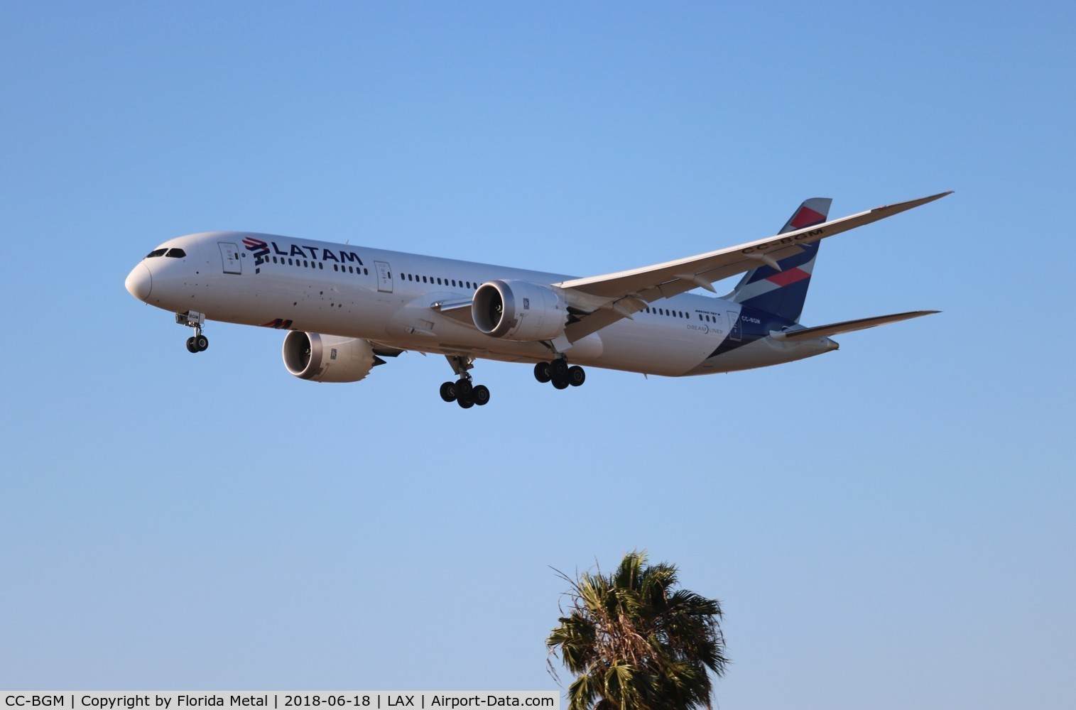 CC-BGM, 2017 Boeing 787-9 Dreamliner Dreamliner C/N 38771, LATAM