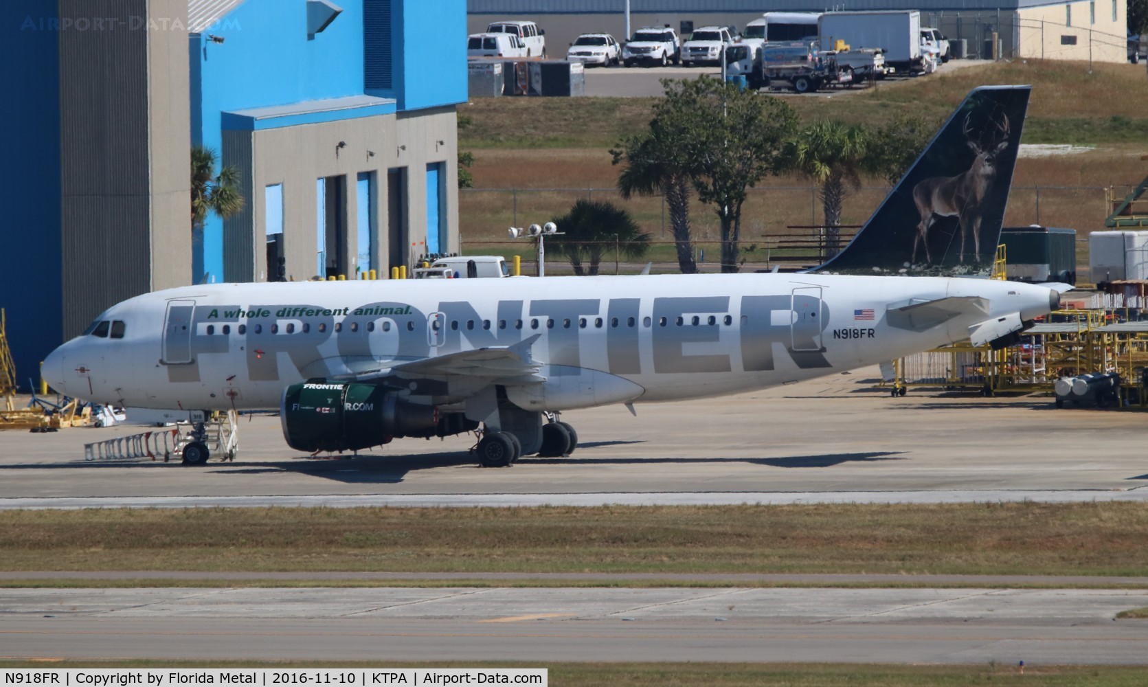 N918FR, 2003 Airbus A319-111 C/N 1943, TPA spotting