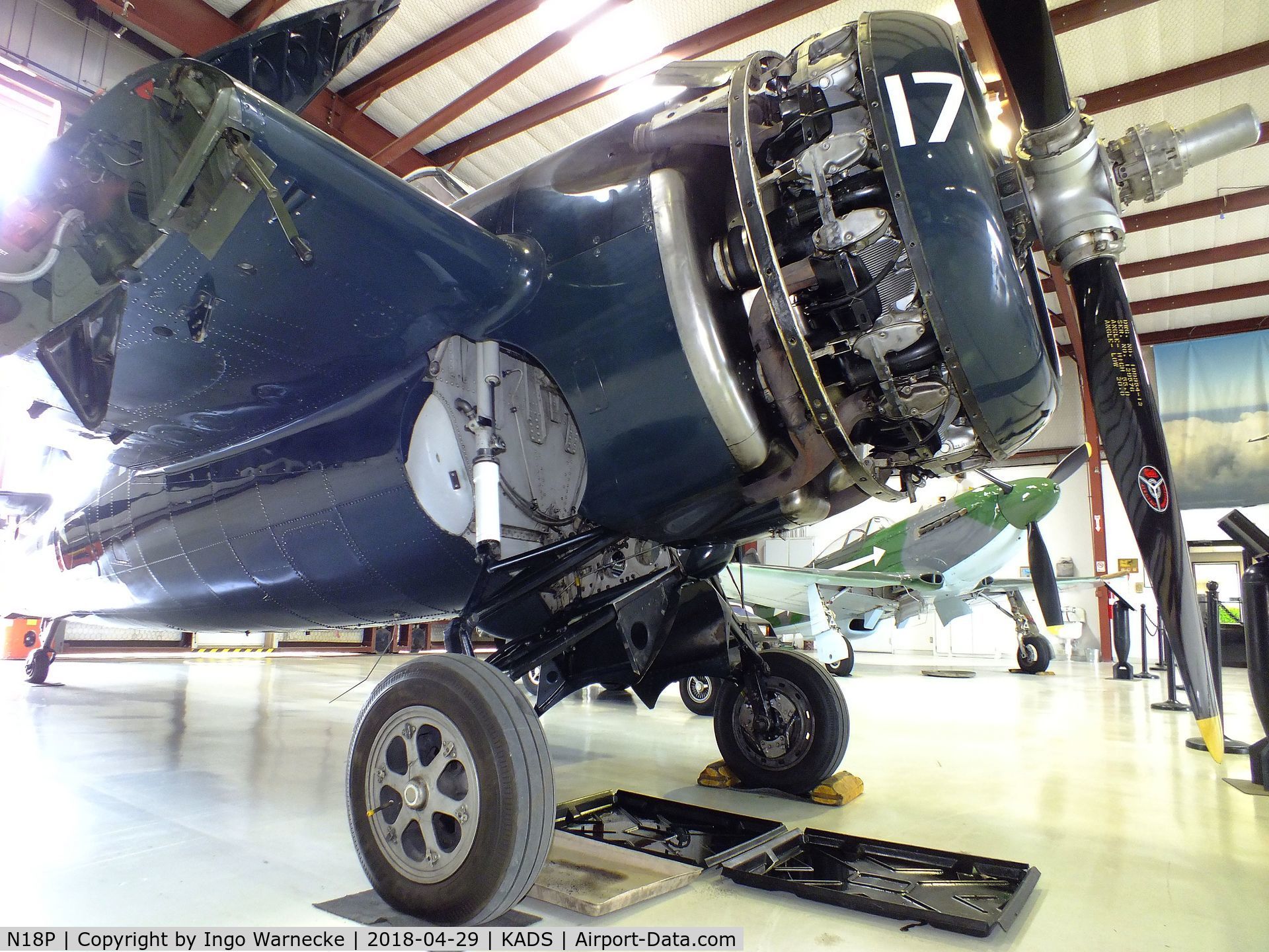 N18P, General Motors (Grumman) FM-2 Wildcat C/N 6014, Grumman (General Motors) FM-2 (F4F) Wildcat at the Cavanaugh Flight Museum, Addison TX