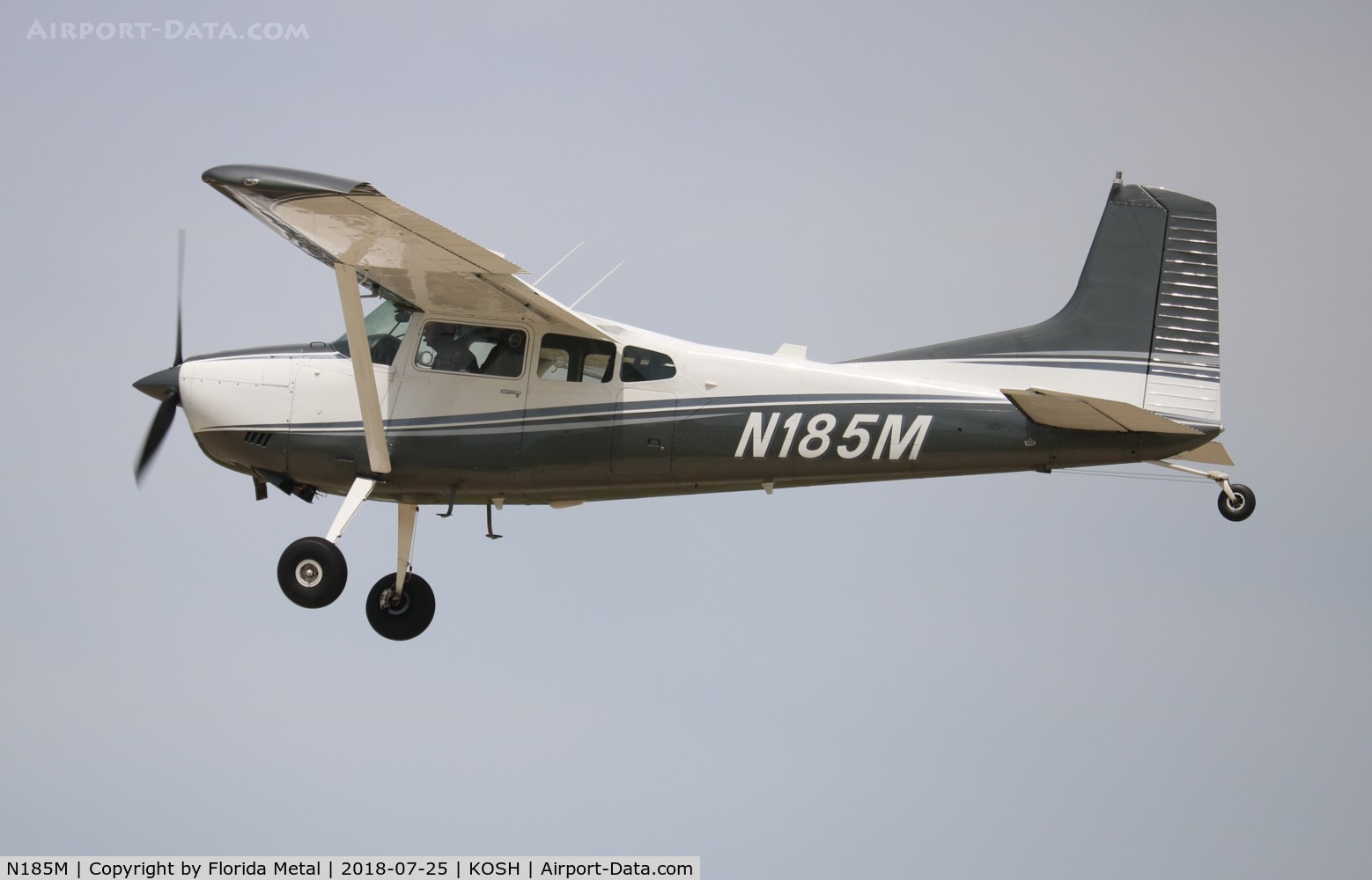 N185M, 1981 Cessna A185F Skywagon 185 C/N 18504264, OSH 2018