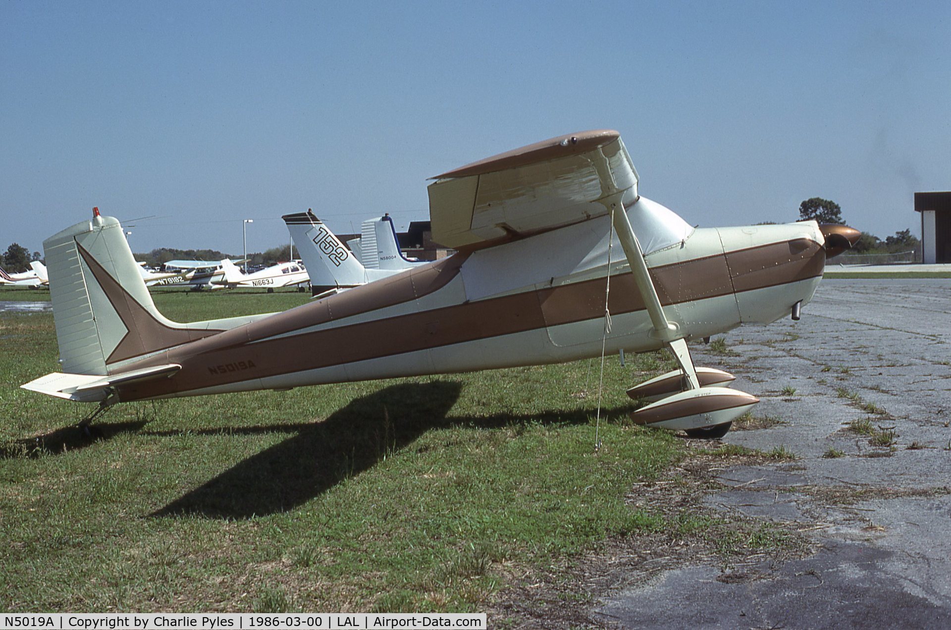 N5019A, 1955 Cessna 172 C/N 28019, Converted to tailwheel