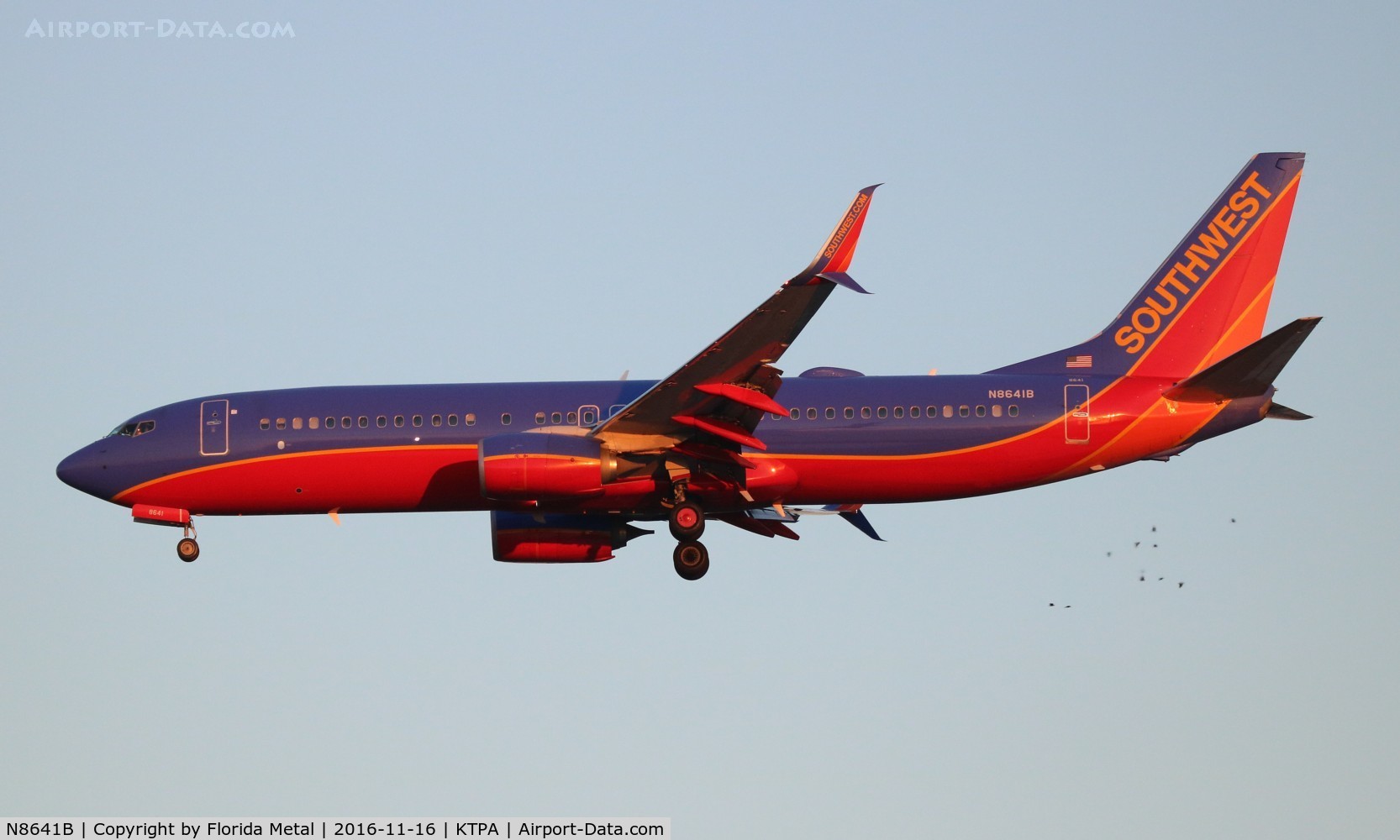 N8641B, 2014 Boeing 737-8H4 C/N 60085, SWA 737-800