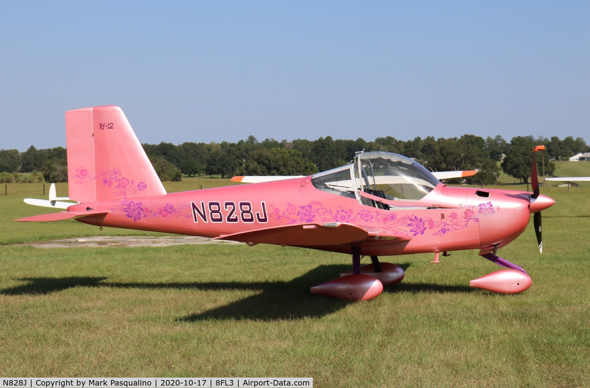 N828J, Vans RV-12 C/N 120317, Vans RV-12