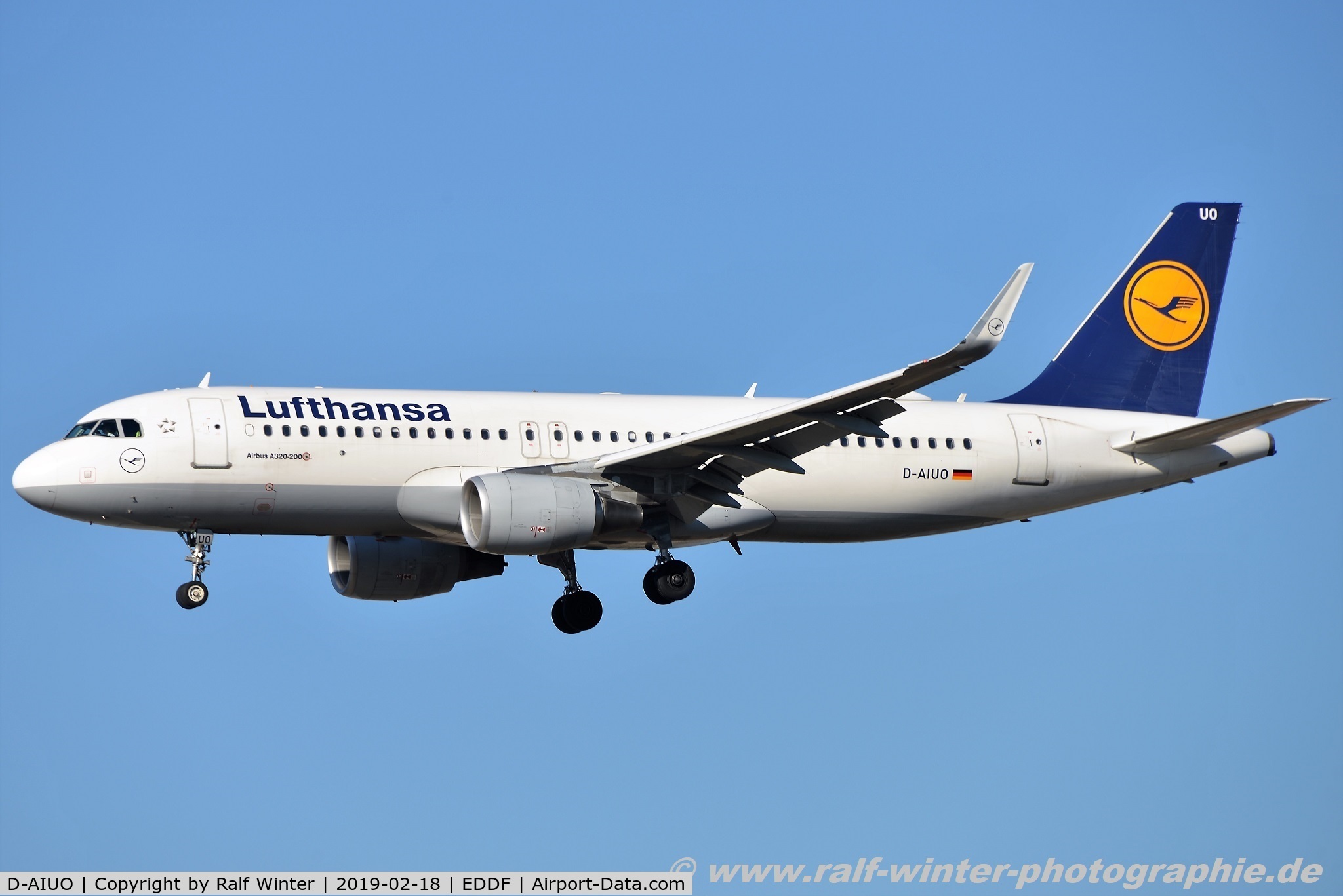 D-AIUO, 2015 Airbus A320-214 C/N 6636, Airbus A320-214(W) - LH DLH Lufthansa - 6636 - D-AIUO - 18.02.2019 - FRA