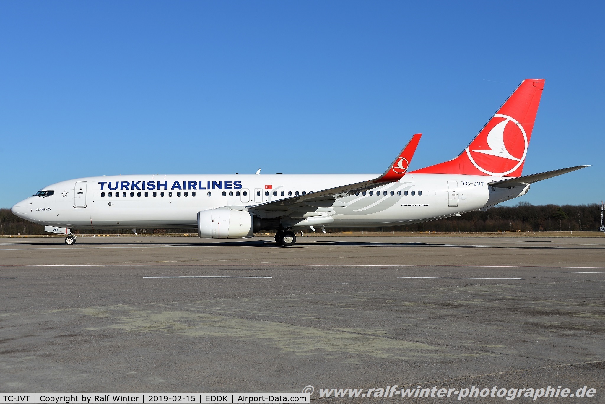 TC-JVT, 2016 Boeing 737-8F2 C/N 60020, Boeing 737-8F2(W) - TK THY Turkish Airlines - 60020 - TC-JVT - 15.02.2019 - CGN