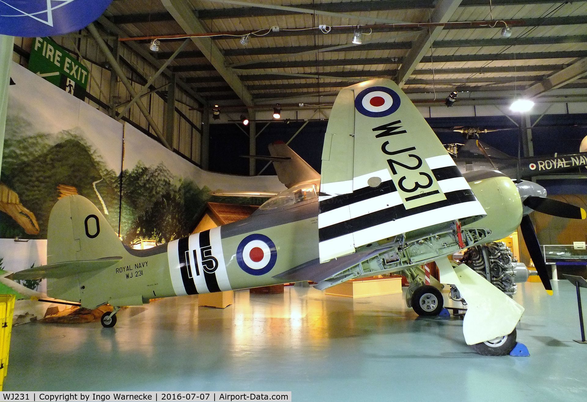WJ231, Hawker Sea Fury FB.11 C/N Not found WJ231, Hawker Sea Fury FB11 at the FAA Museum, Yeovilton