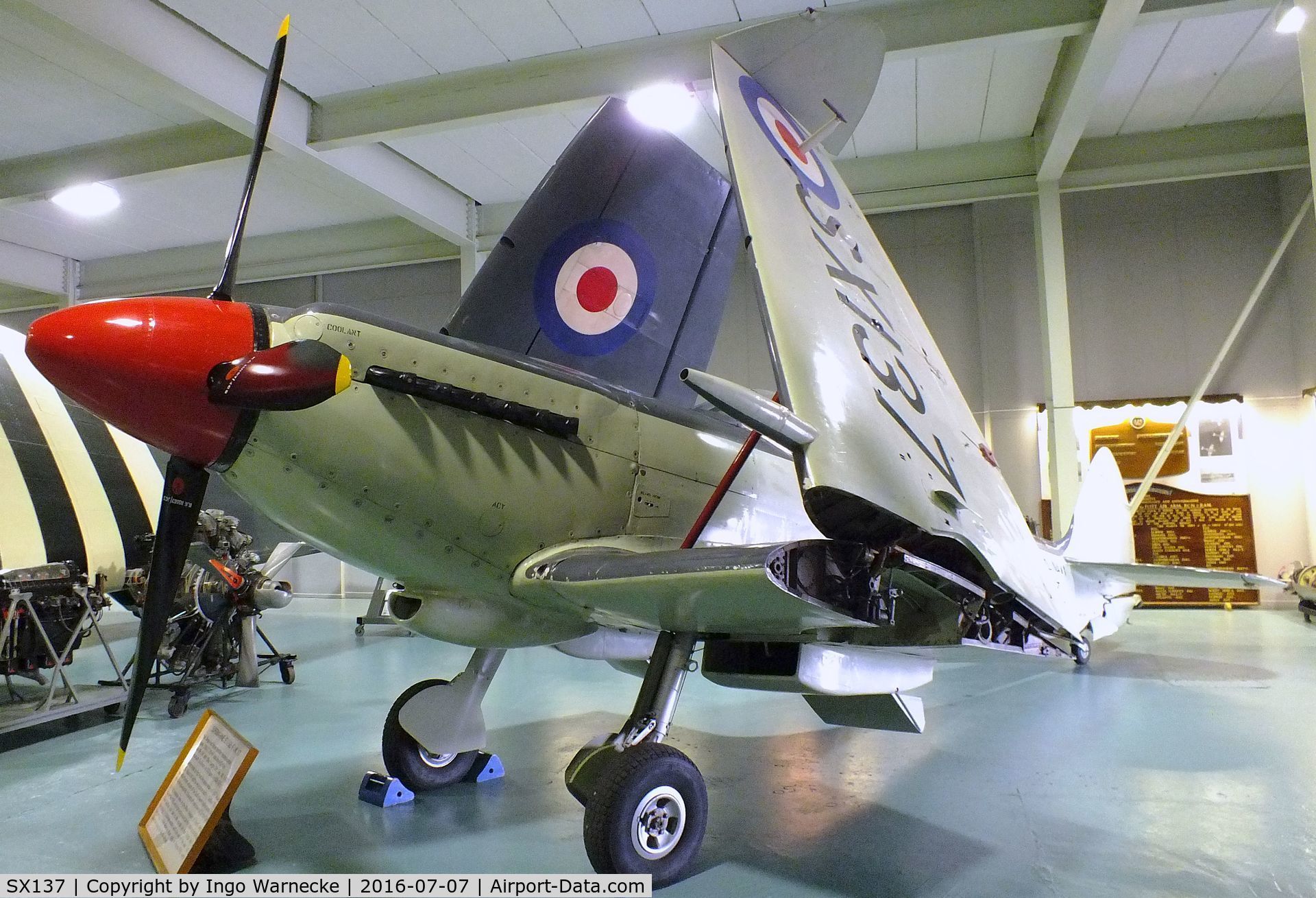 SX137, Supermarine 395 Seafire F.XVII C/N WASE1.5325, Supermarine Seafire F XVII at the FAA Museum, Yeovilton