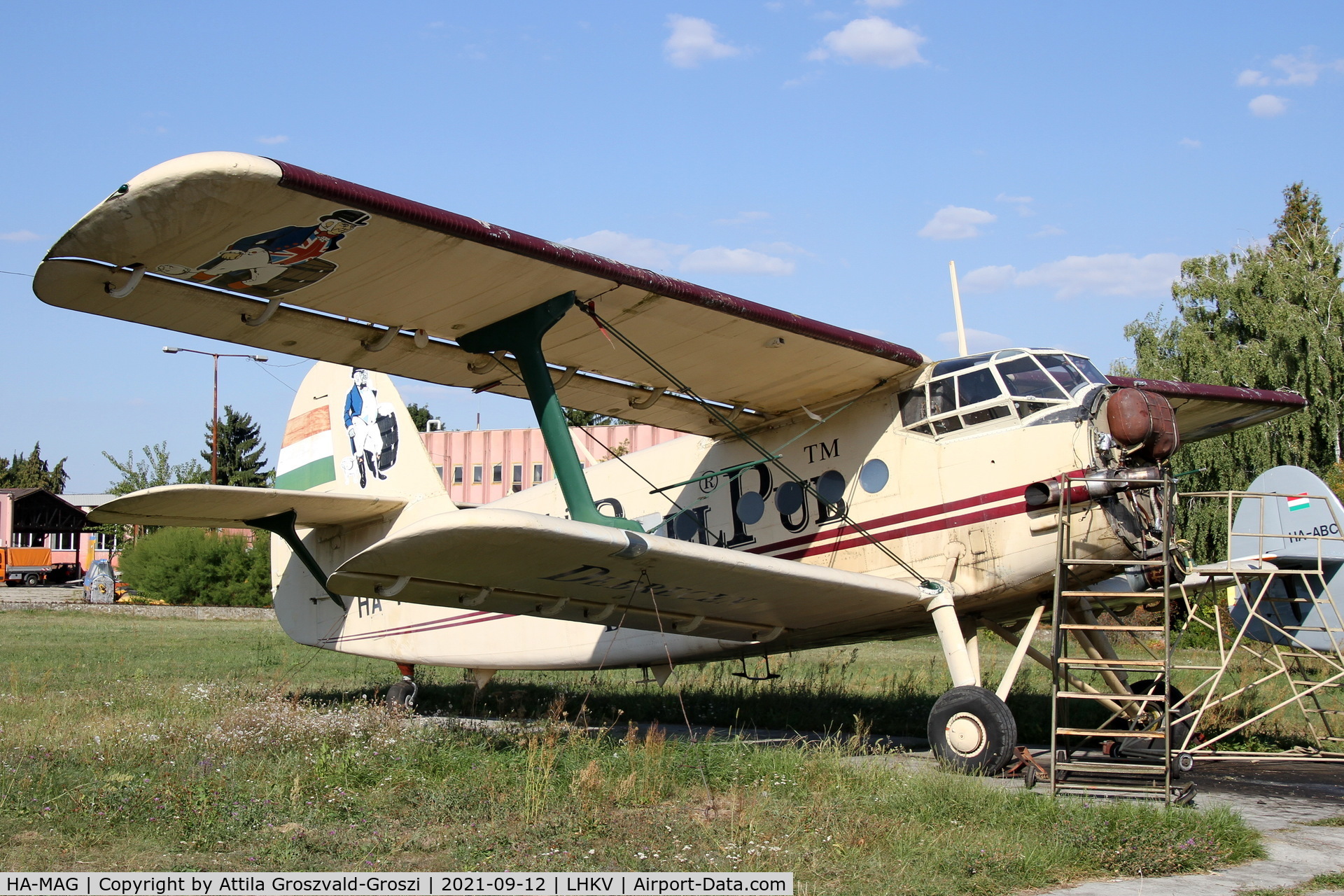 HA-MAG, Antonov (PZL-Mielec) An-2P C/N 1G114-36, LHKV Kapsújlak Airport, Hungary