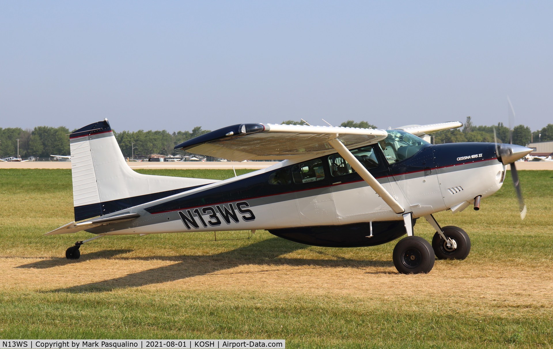 N13WS, 1979 Cessna A185F Skywagon 185 C/N 18503938, Cessna A185F
