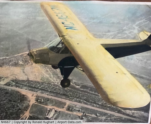 N4667, 1947 Piper PA-11 Cub Special Cub Special C/N Not Given, Hand colored photo of the SCORPION TOO that my dad drew. 1940's