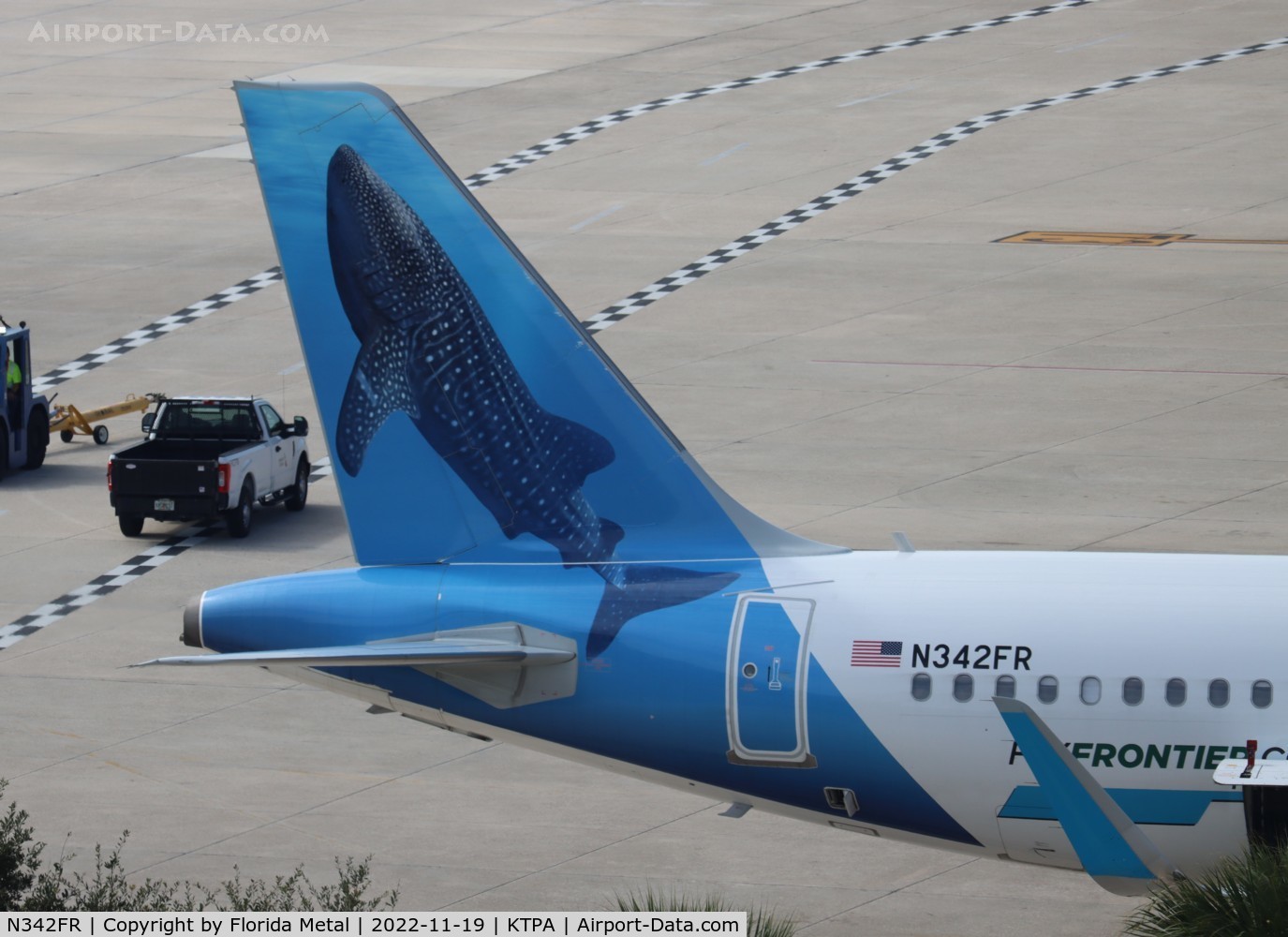 N342FR, 2018 Airbus A320-251N C/N 8537, Baja the Whale Shark