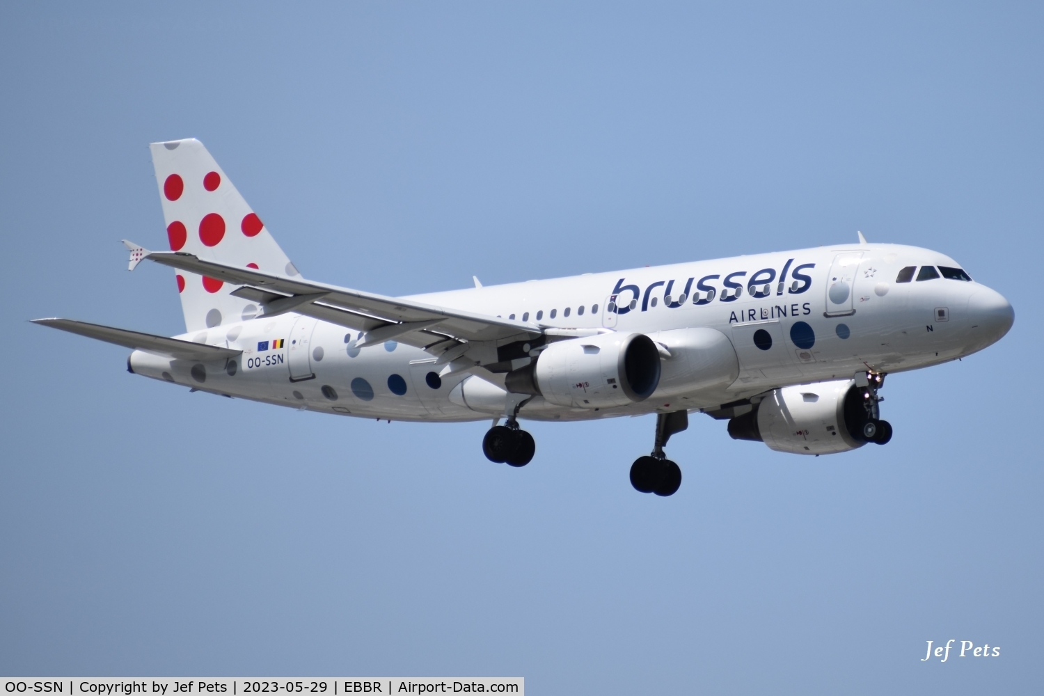 OO-SSN, 2003 Airbus A319-112 C/N 1963, Landing at Brussels Airport.