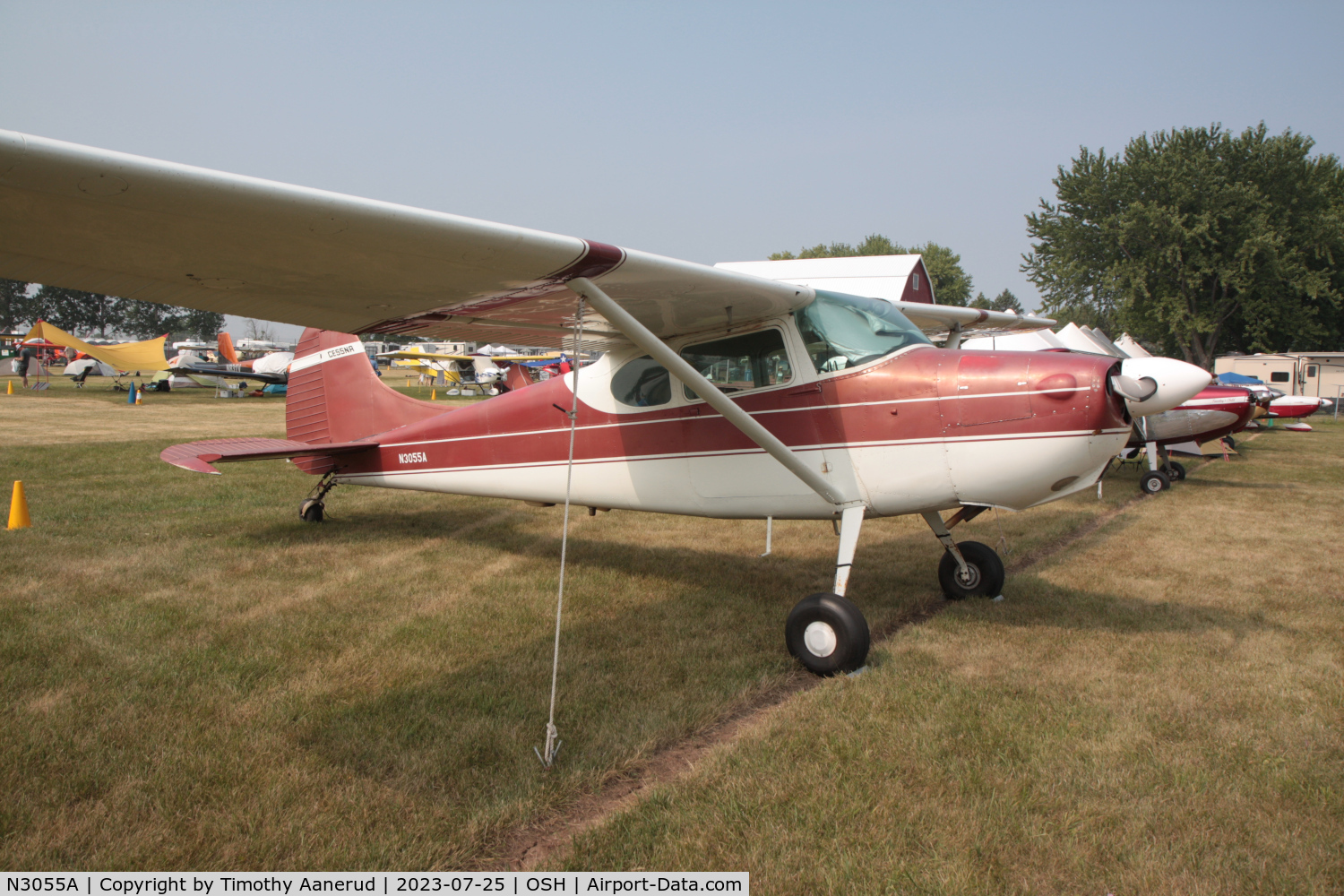 N3055A, 1953 Cessna 170B C/N 25699, 1953 Cessna 170B, c/n: 25699. AirVenture 2023