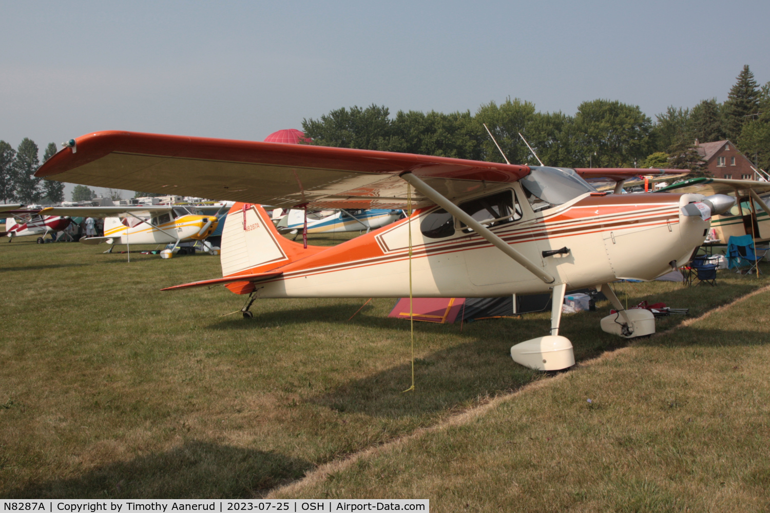 N8287A, 1952 Cessna 170B C/N 25139, 1952 Cessna 170B, c/n: 25139. AirVenture 2023