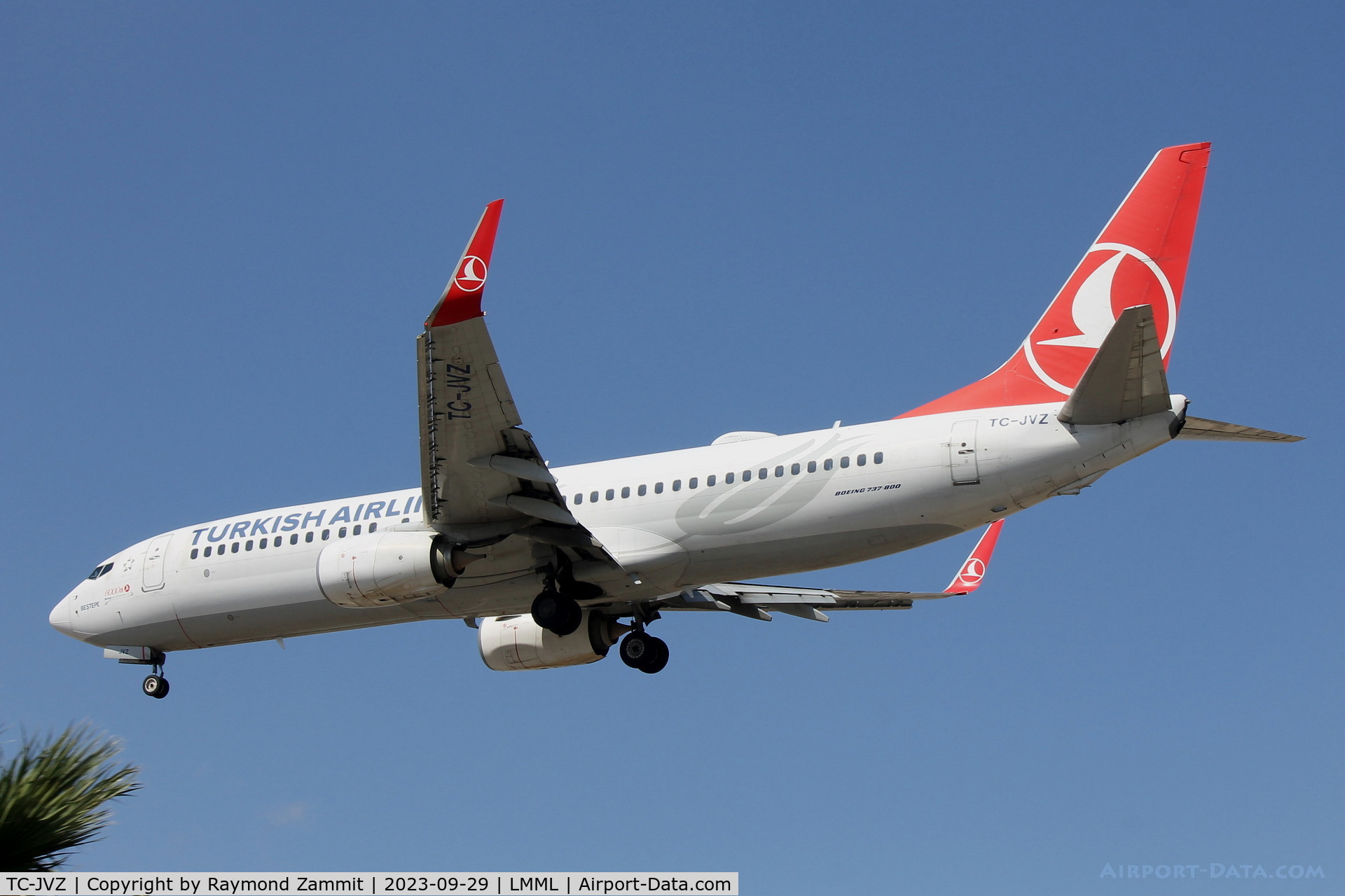TC-JVZ, 2016 Boeing 737-8F2 C/N 60025, B737-800 TC-JVZ Turkish Airlines