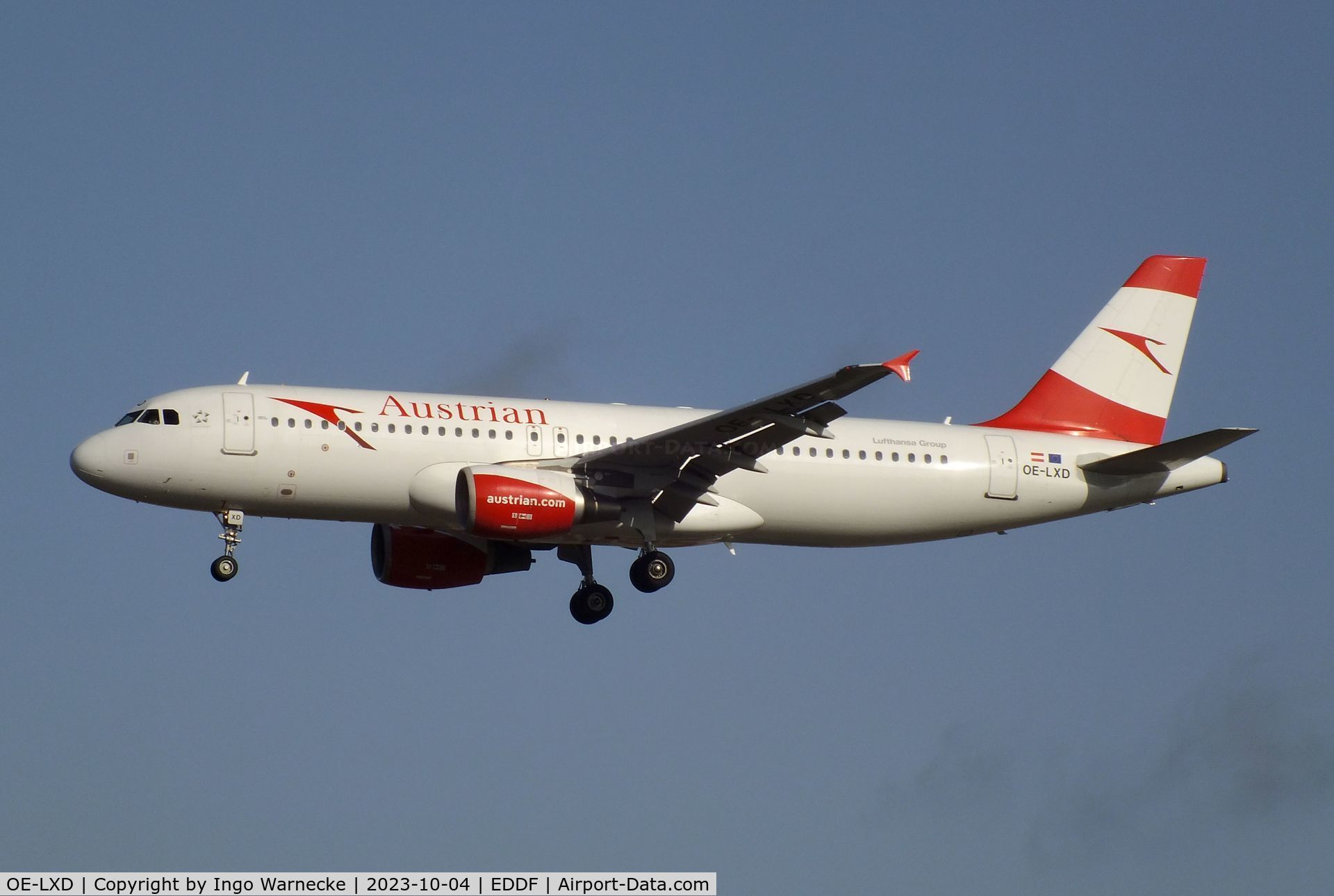 OE-LXD, 2008 Airbus A320-216 C/N 3515, Airbus A320-216 of Austrian Airlines on final approach to Frankfurt-Main airport