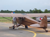 N3907E @ KVPC - 1953 Piper PA-18 (L-21B) SuperCub - by Greg Roper