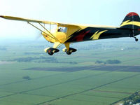 N96910 @ ARA - T-Craft flying over South Louisiana Sugar Cane fields - by Lee & Shirley Dautreuil