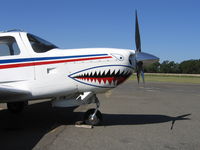 N155AE @ L36 - close-up of sharkmouth markings on 1989 Mooney M20 - by Steve Nation