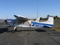 N7701F @ O69 - 2000 Cessna A185F with Pagasus tail logo at Petaluma Muncipal, CA - by Steve Nation