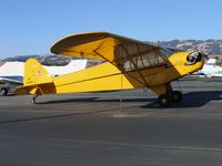 N7332H @ O69 - 1946 Piper J3C-65S Cub at Petaluma Municipal, CA (as NC7332H) - by Steve Nation