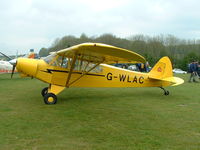 G-WLAC - Piper PA-18-150 Super Cub - by Gerald Shimbart