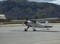 N77950 @ SZP - 1946 Luscombe 8A, Continental A&C65 65 Hp, taxi to Runway 22 - by Doug Robertson