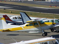 N2903Q @ PDK - Taxing from tie down - by Michael Martin