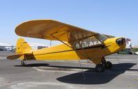 N51503 @ 1O3 - 1942 Piper J3C-65 Cub (as NC51503) @ Lodi Airport, CA - by Steve Nation