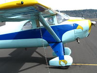 N1833K @ PVF - close-up of Eagle nose arto on 1946 Luscombe 8E @ sunny and cool Placerville Airport, CA - by Steve Nation