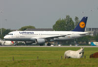 D-AIPL @ EGCC - Planes and horses at Manchester. - by Kevin Murphy