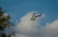 N5182 - Zebra copter 2 - by Marc Opperman