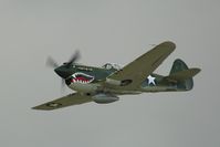 N85104 @ SEE - P-40 @ Wings Over Gillespie - by Andrew Weiner