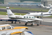 N447J @ PDK - Tied down @ Epps with other aircraft - by Michael Martin