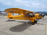 N42144 @ WVI - 1947 Piper J3C-65 Cub as NC42144 @ fly-in Watsonville, CA - by Steve Nation