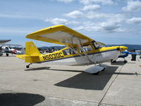 N5030C @ WVI - 1978 Bellanca 8KCAB @ fly-in Watsonville, CA - by Steve Nation